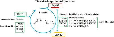 Amelioration effect of Lactobacillus plantarum KFY02 on low-fiber diet-induced constipation in mice by regulating gut microbiota
